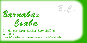 barnabas csaba business card